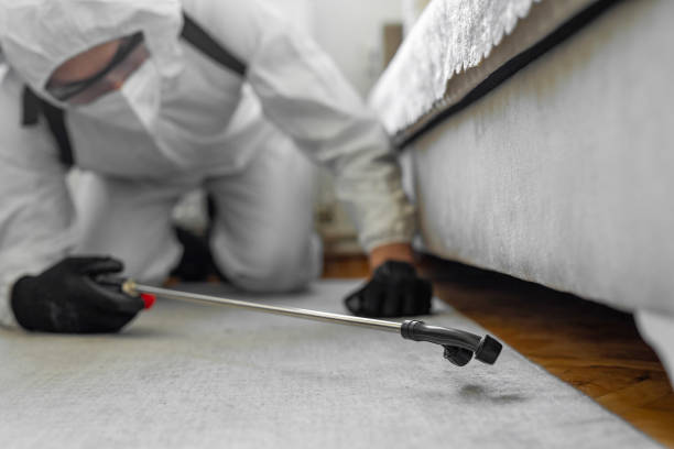 Professional Bed Bug Control technician working in Aberdeen, IN
