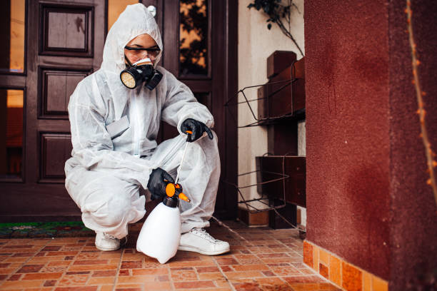Reliable Bed Bug Control contractor in Aberdeen, IN by Nex Pest Control